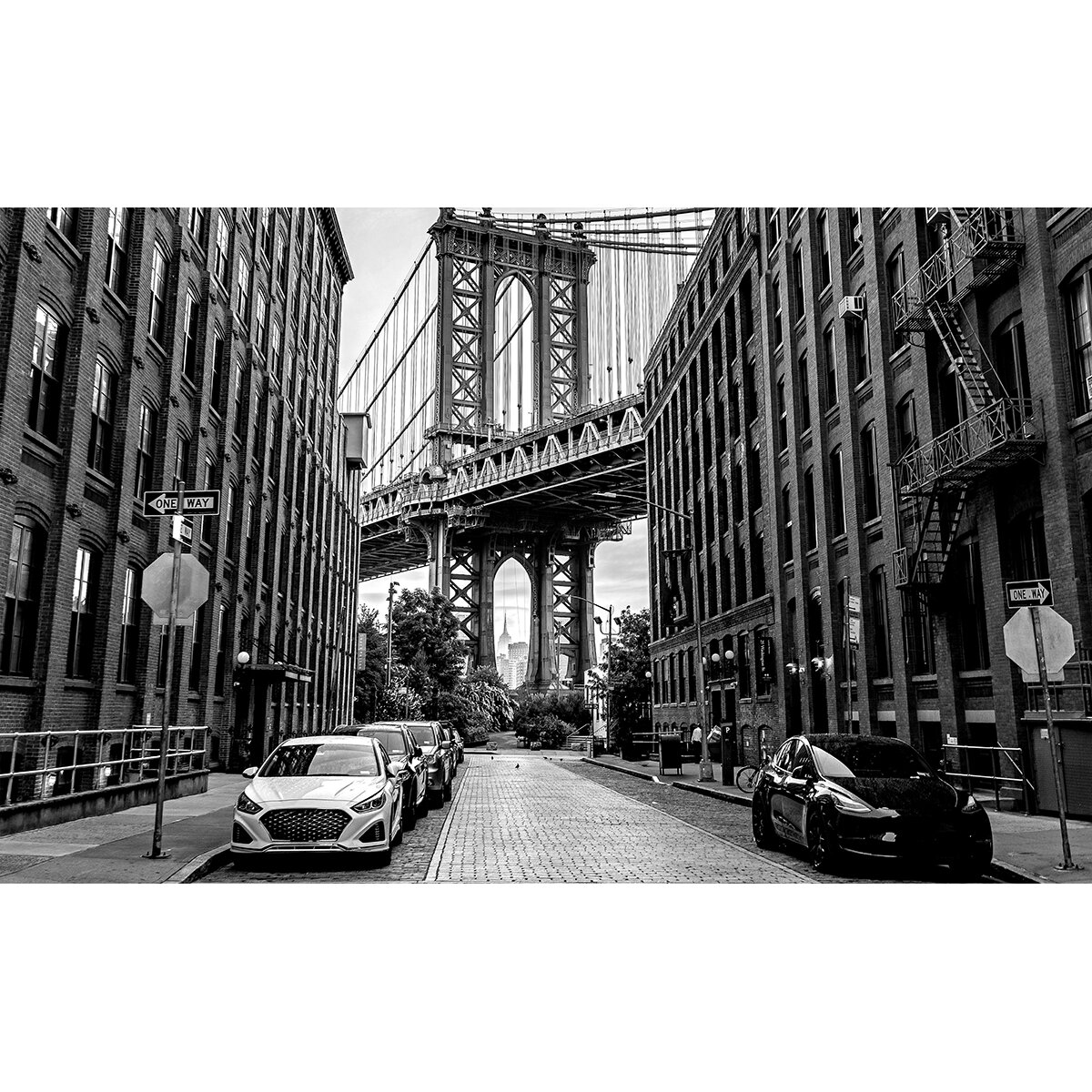 Honpo | Brooklyn Perspective Honpo | Brooklyn Perspective