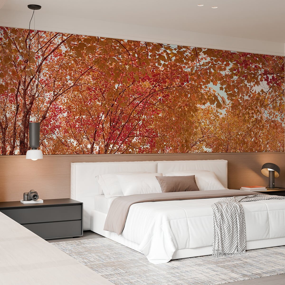 Honpo | Canopy Honpo | Canopy