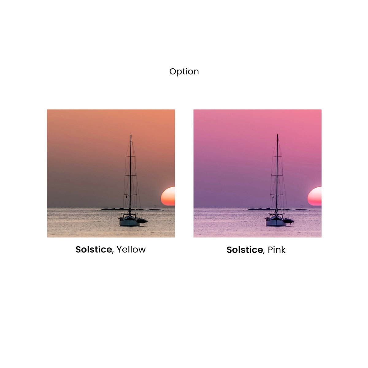 Honpo | Solstice Honpo | Solstice