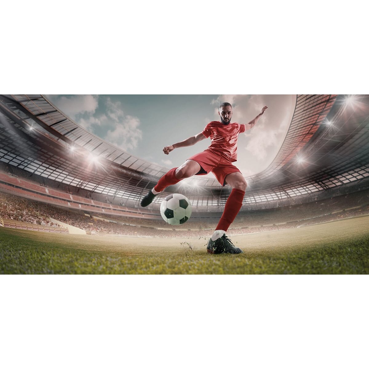 Honpo | Striker Honpo | Striker