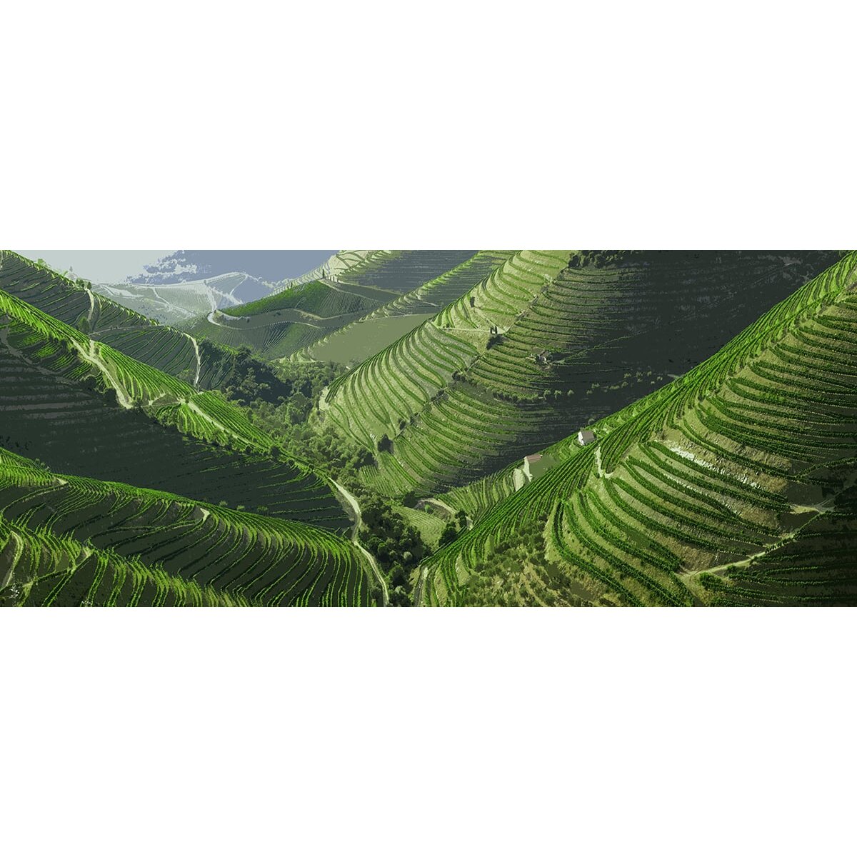 Honpo | Valley LIne Honpo | Valley LIne
