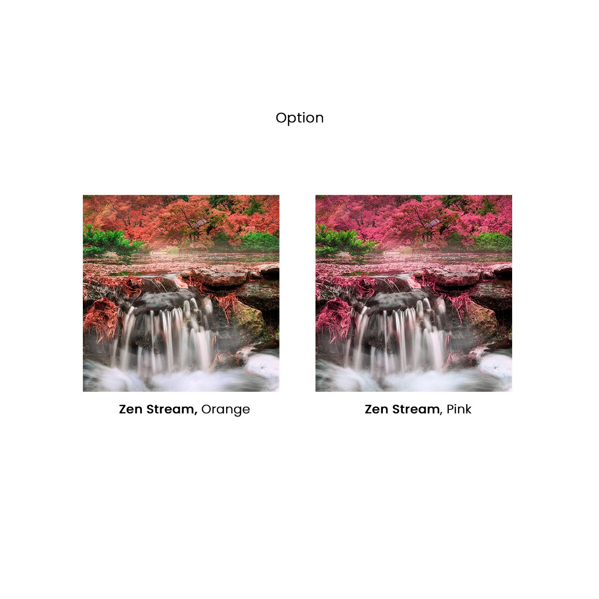 Honpo | Zen Stream Honpo | Zen Stream