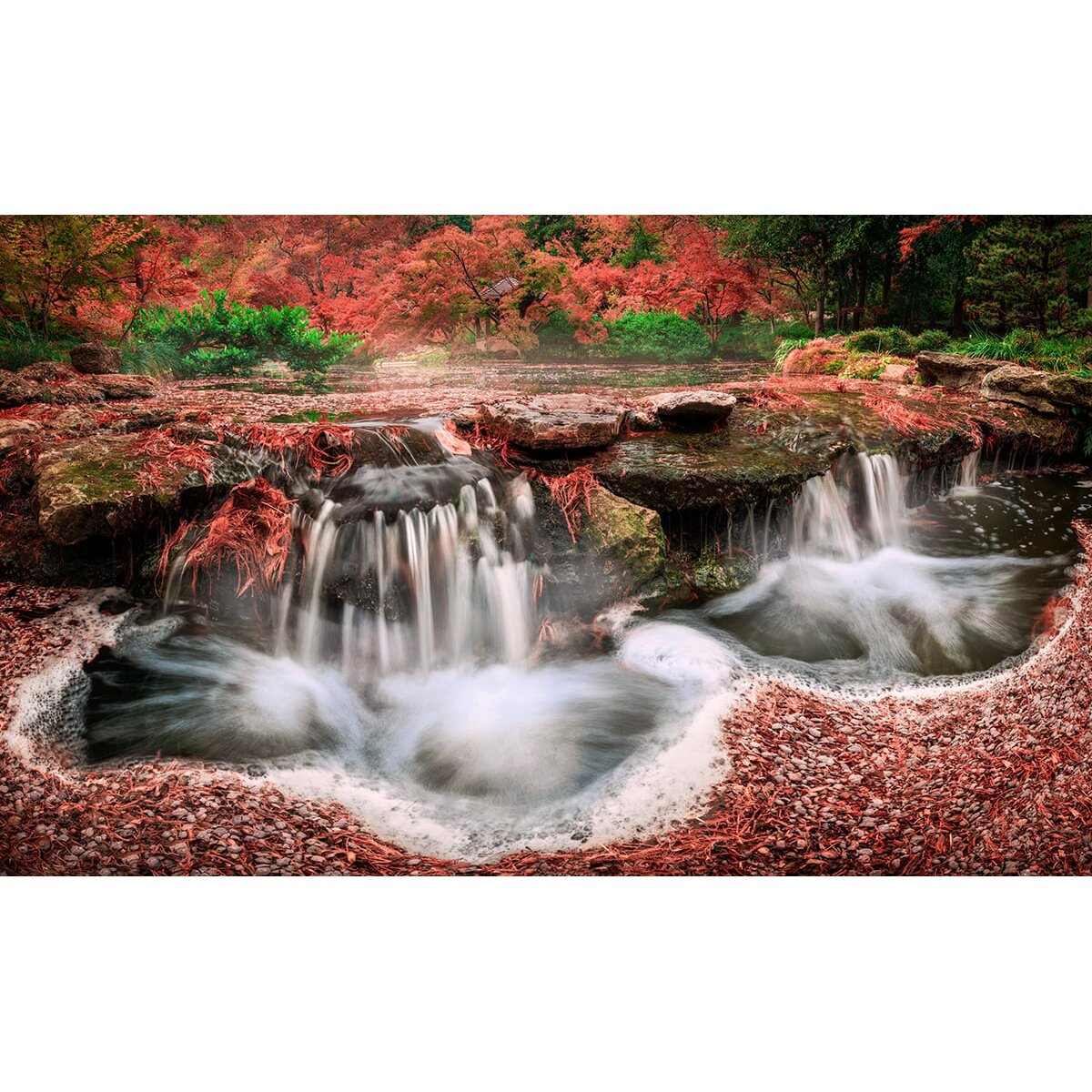 Honpo | Zen Stream Honpo | Zen Stream