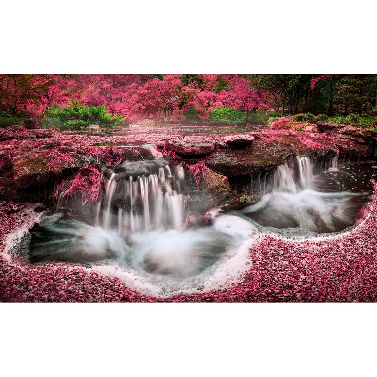 Honpo | Zen Stream Honpo | Zen Stream