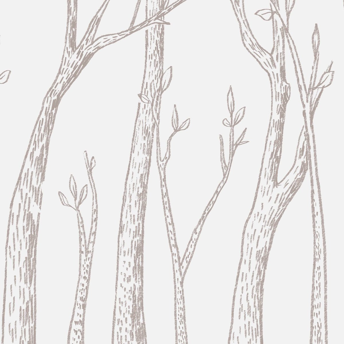 Honpo | River Birch Trees | HO-0079 Honpo | River Birch Trees | HO-0079