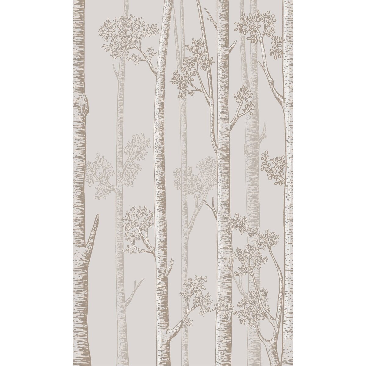 Honpo WF | Silver Birch Trees Honpo WF | Silver Birch Trees