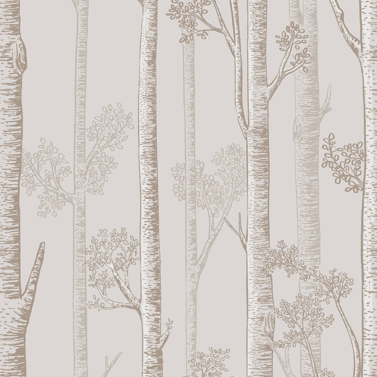 Honpo WF | Silver Birch Trees Honpo WF | Silver Birch Trees