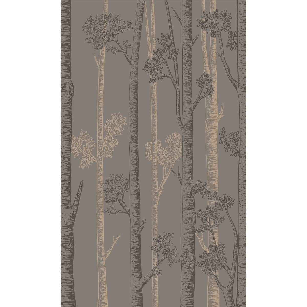 Honpo WF | Silver Birch Trees Honpo WF | Silver Birch Trees