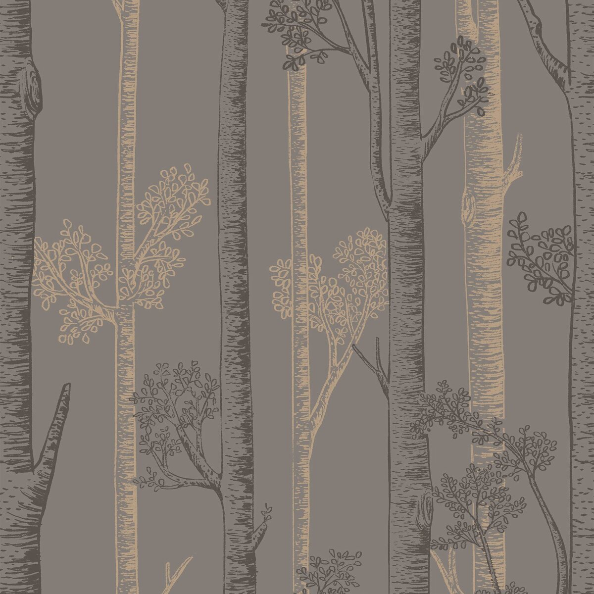 Honpo WF | Silver Birch Trees Honpo WF | Silver Birch Trees