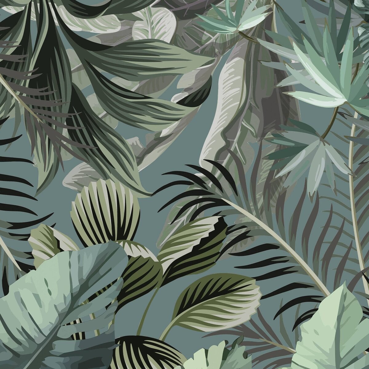 Honpo | Tropical Fusion Honpo | Tropical Fusion