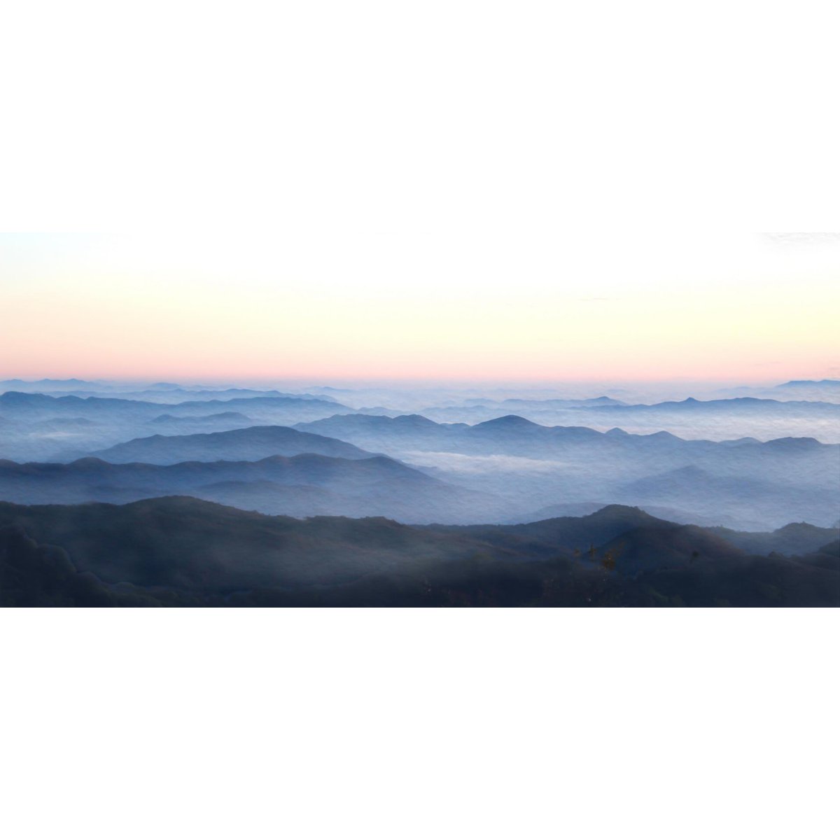 Honpo YL | Silent Horizon Honpo YL | Silent Horizon