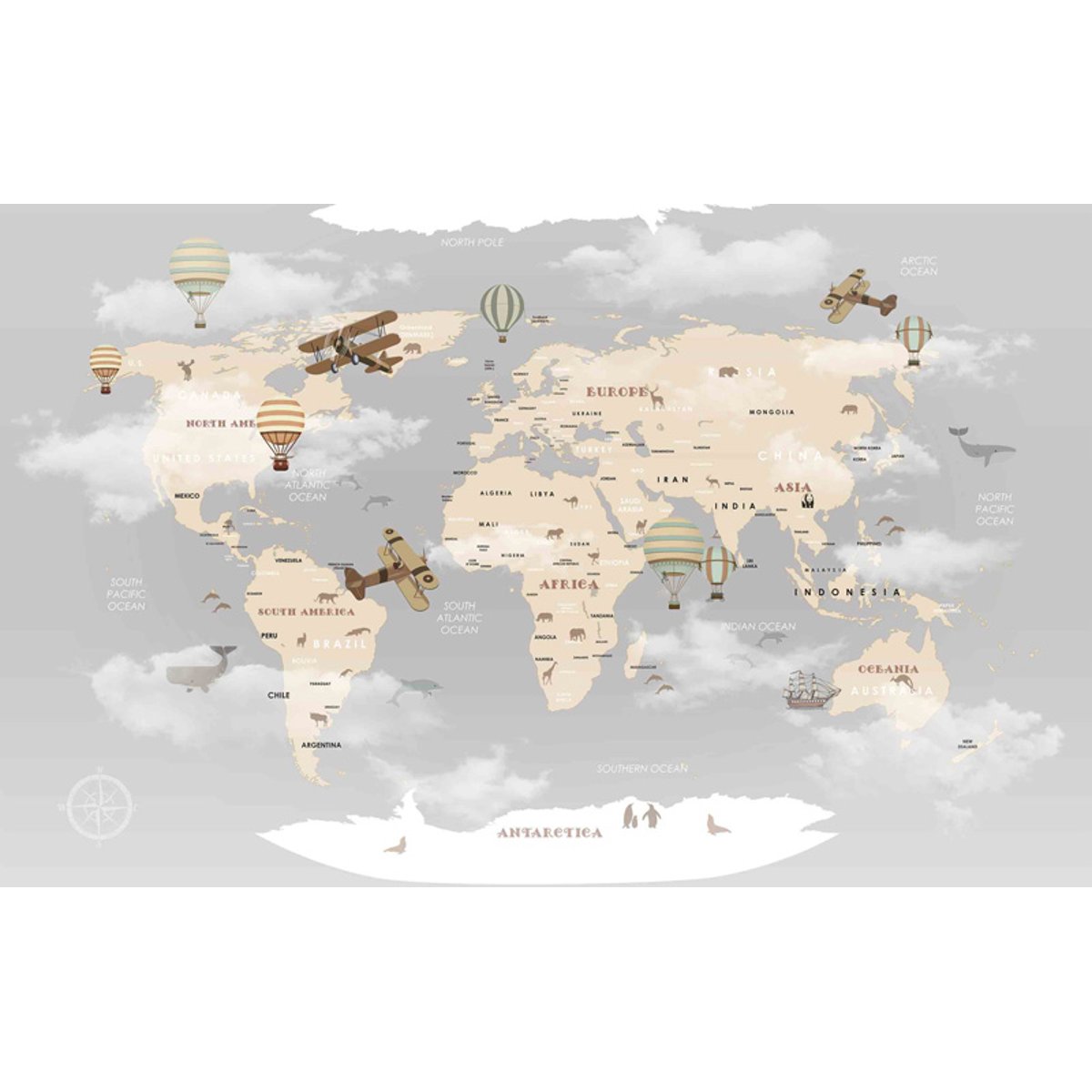 Honpo YL | Aero Explorer Honpo YL | Aero Explorer