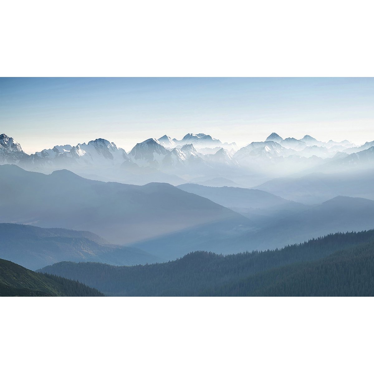 Honpo YL | Arctic Silence Honpo YL | Arctic Silence