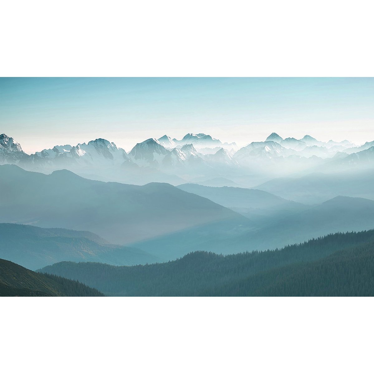 Honpo YL | Arctic Silence Honpo YL | Arctic Silence