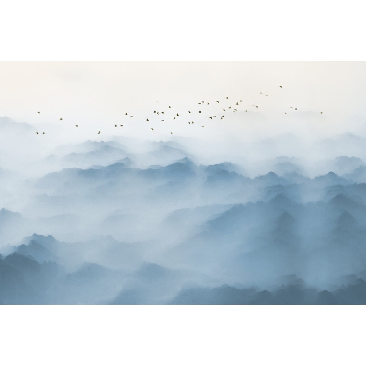 Honpo YL | Cloud Valley Honpo YL | Cloud Valley