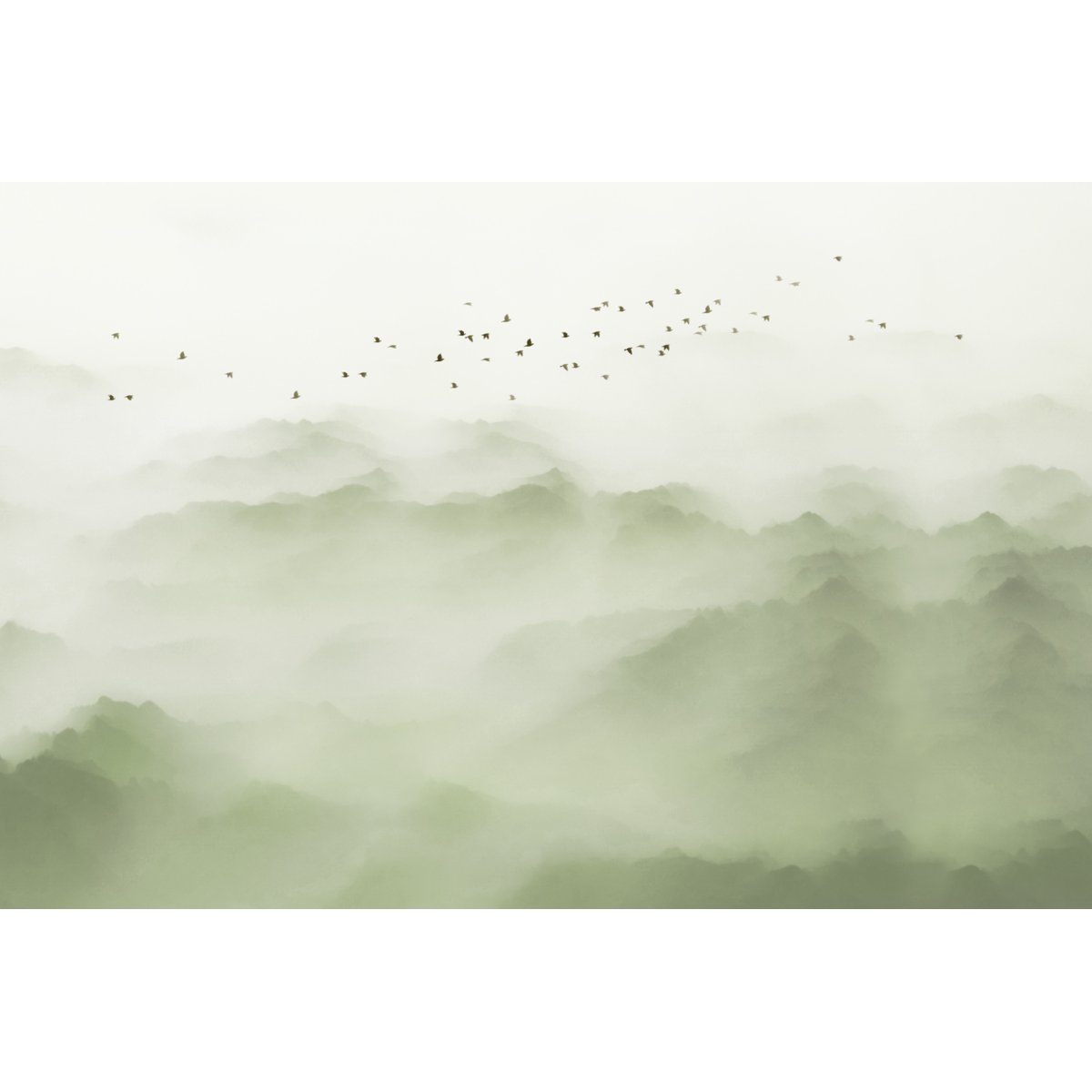 Honpo YL | Cloud Valley Honpo YL | Cloud Valley