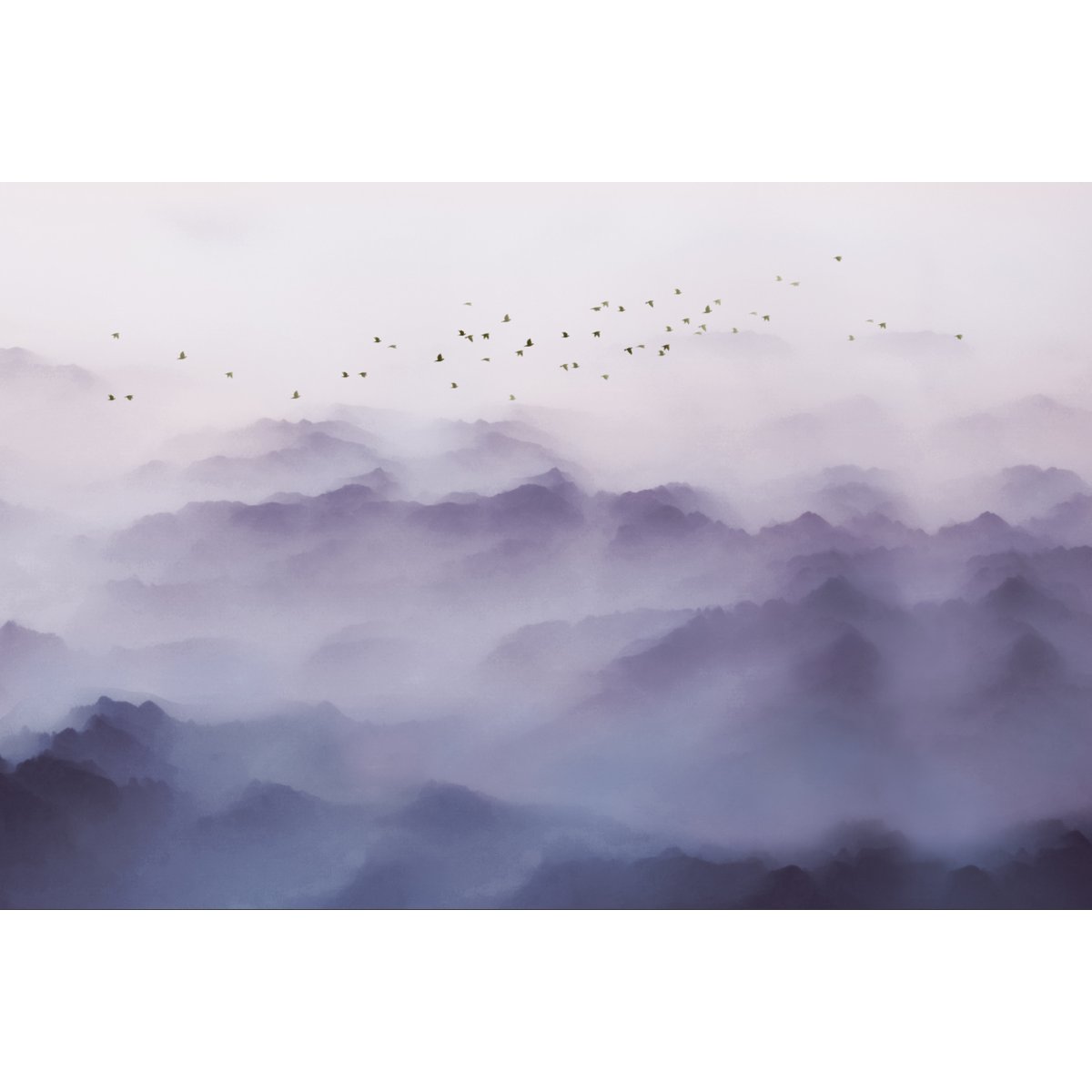 Honpo YL | Cloud Valley Honpo YL | Cloud Valley