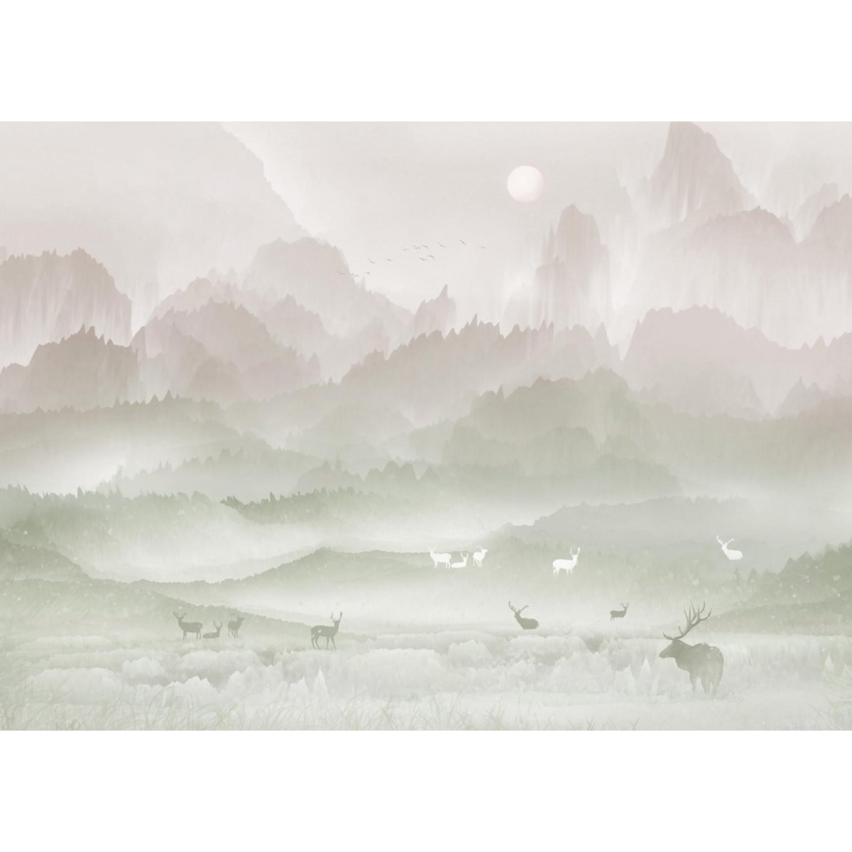 Honpo YL | Dreamland Ridge Honpo YL | Dreamland Ridge