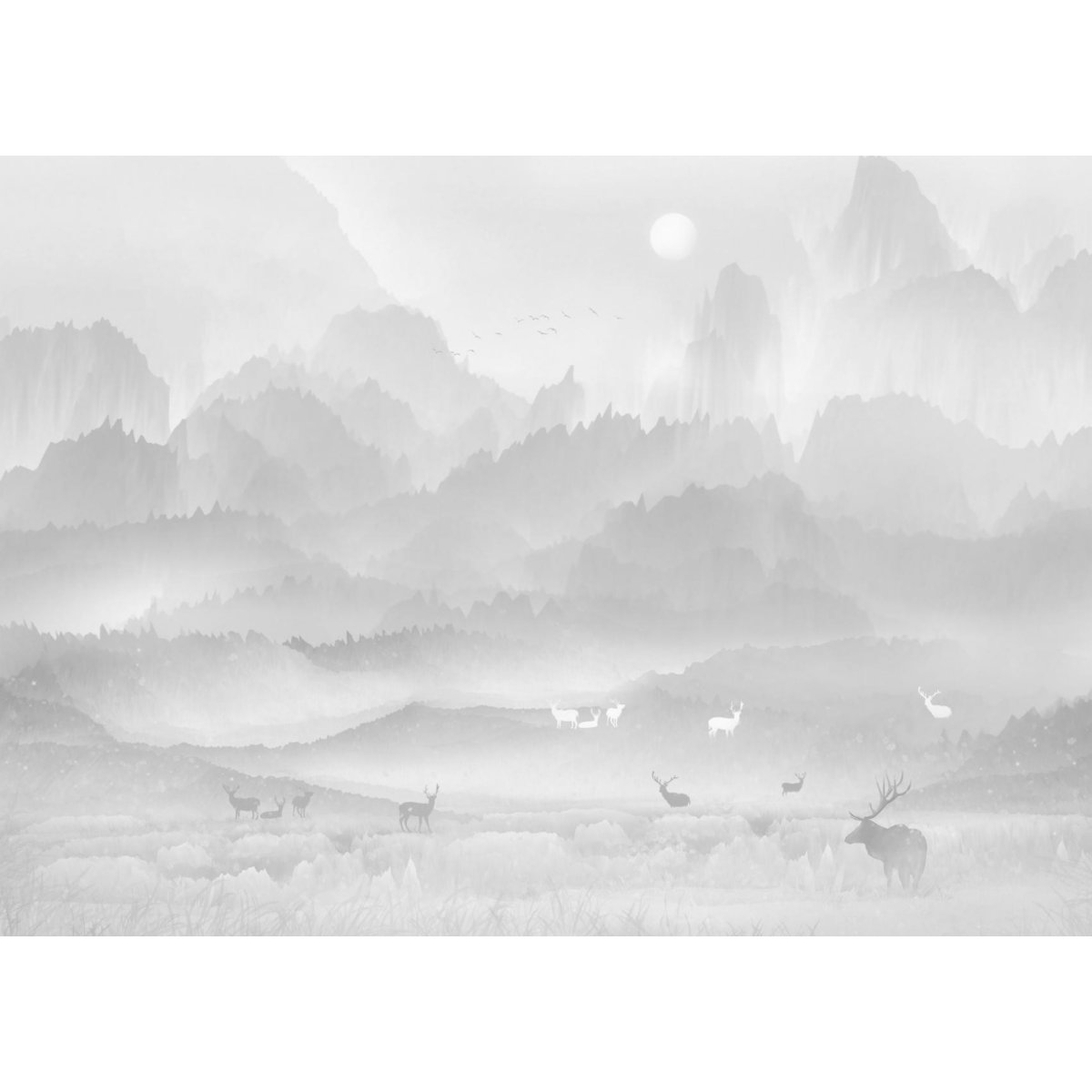 Honpo YL | Dreamland Ridge Honpo YL | Dreamland Ridge