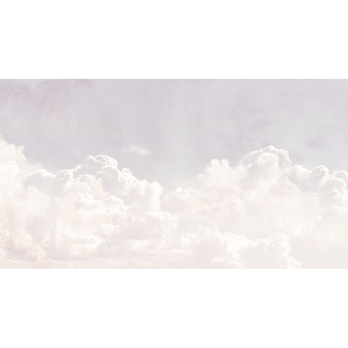 Honpo YL | Dreamscape Sky Honpo YL | Dreamscape Sky