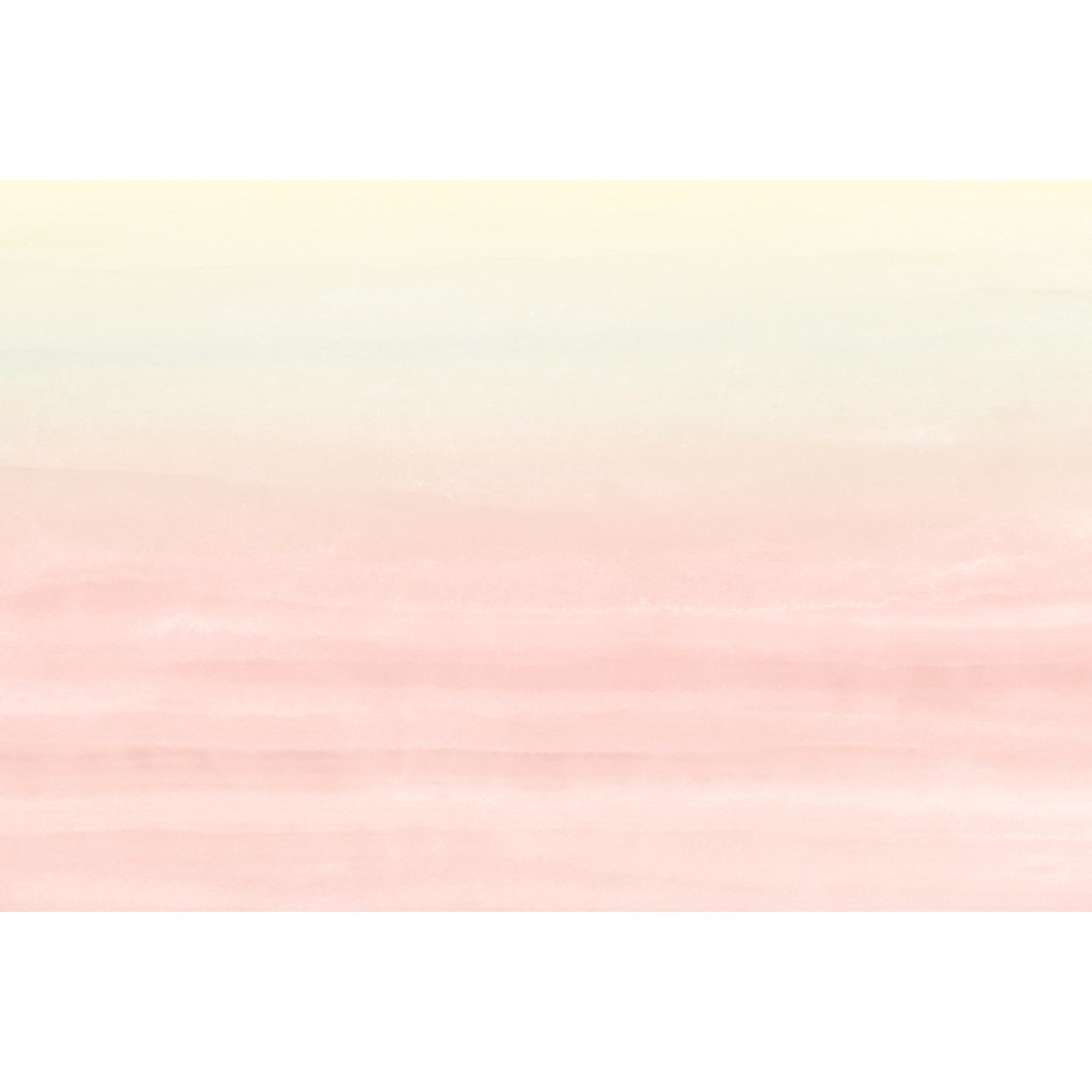 Honpo YL | Gradient Color Honpo YL | Gradient Color