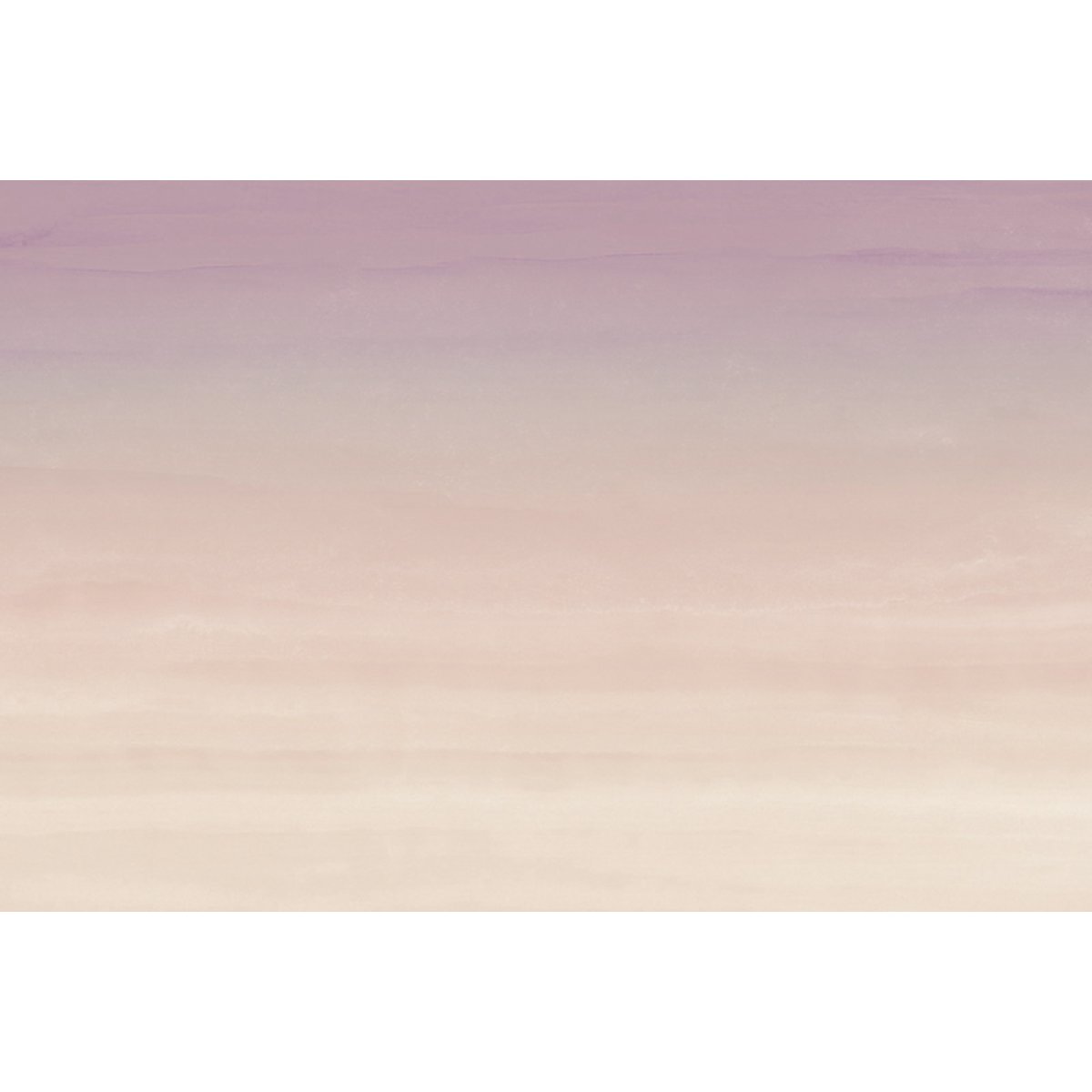 Honpo YL | Gradient Color Honpo YL | Gradient Color