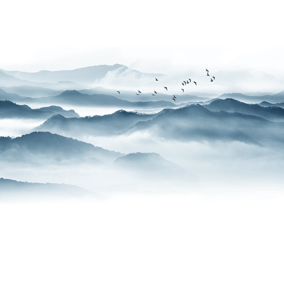 Honpo YL | Inkwash Mountain Honpo YL | Inkwash Mountain