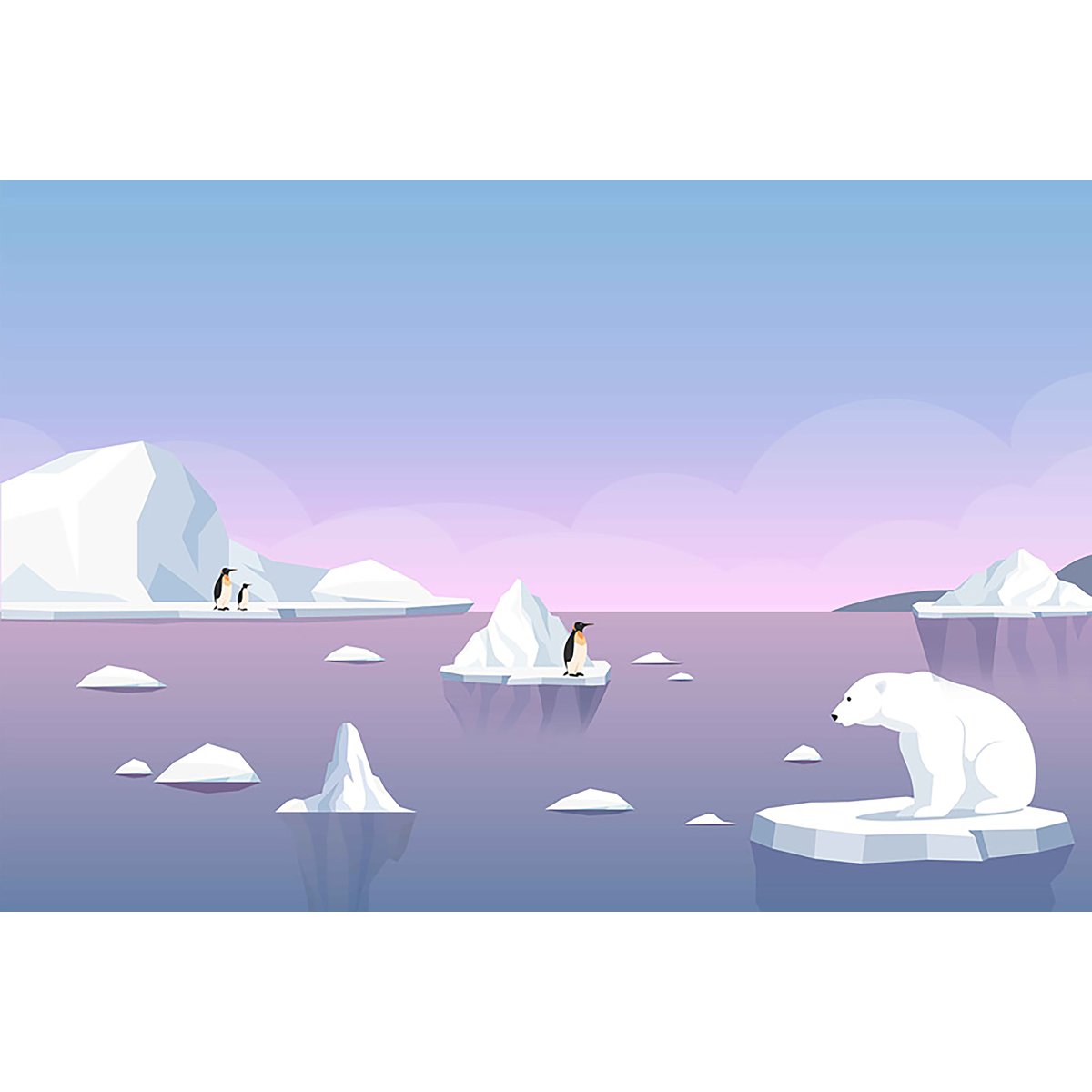 Honpo YL | Little Iceberg Honpo YL | Little Iceberg