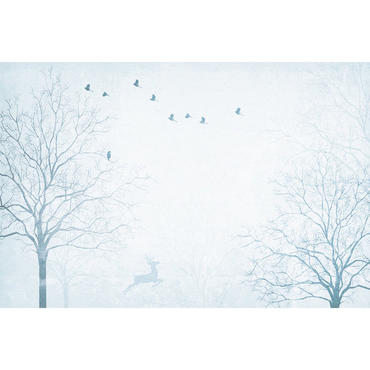 Honpo YL | Misty Trail Honpo YL | Misty Trail