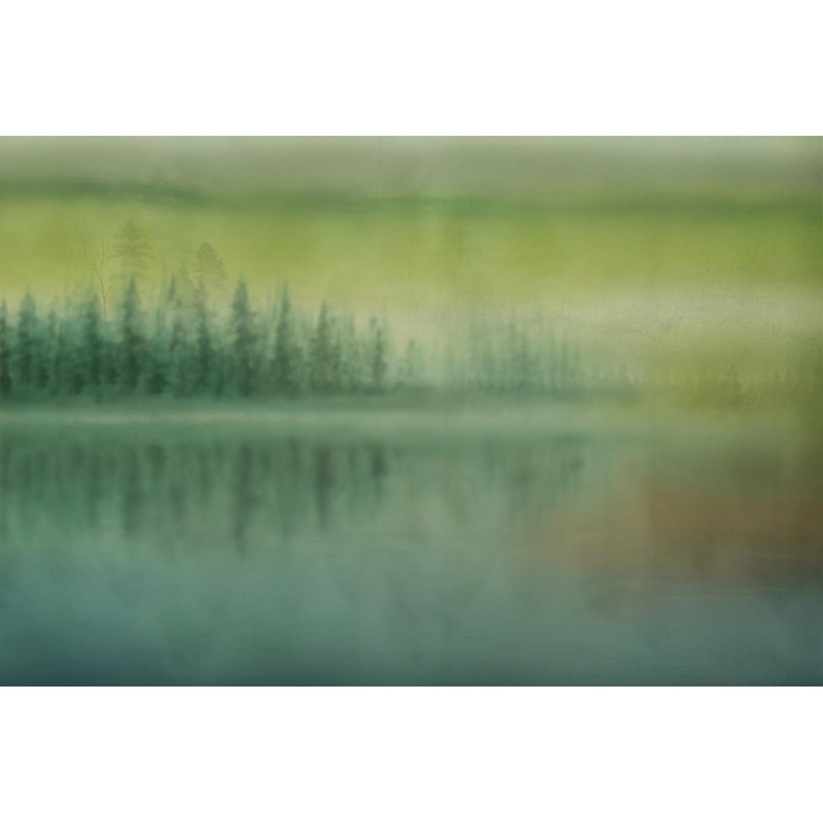 Honpo YL | Northern Calm Honpo YL | Northern Calm