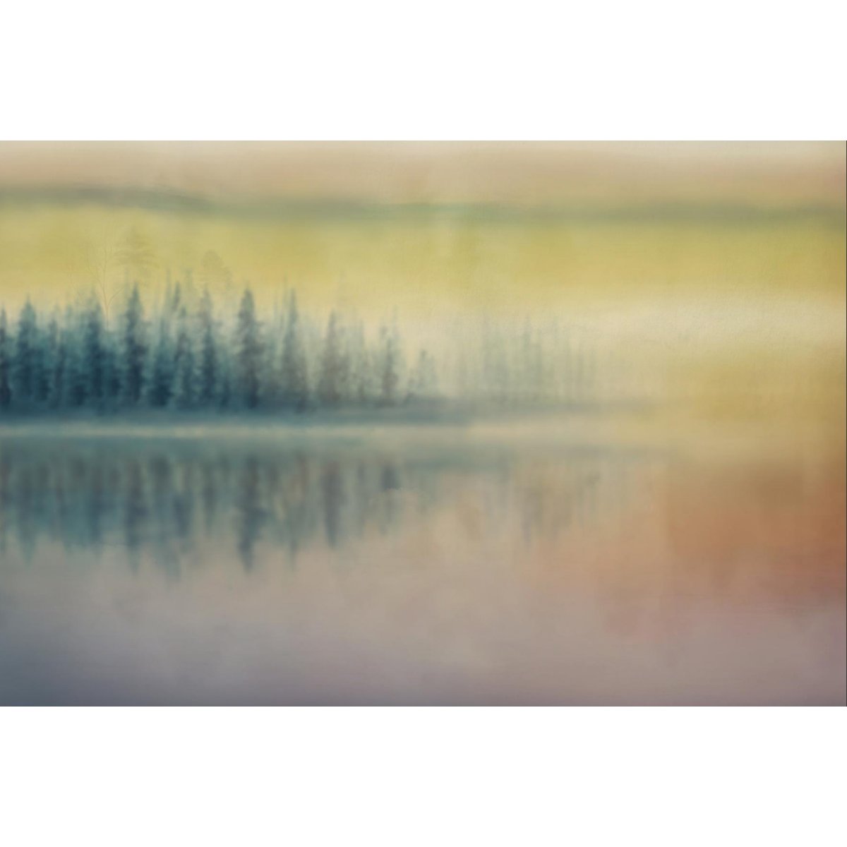 Honpo YL | Northern Calm Honpo YL | Northern Calm