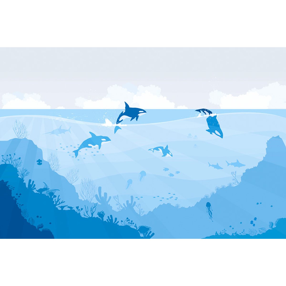 Honpo YL | Orca Bay Honpo YL | Orca Bay