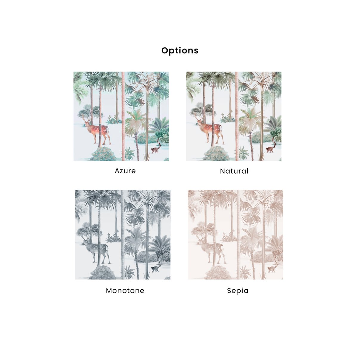 Honpo YL | Rainforest Realm Honpo YL | Rainforest Realm