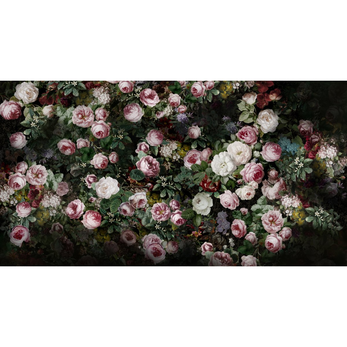 Honpo YL | Rose Nocturne Honpo YL | Rose Nocturne