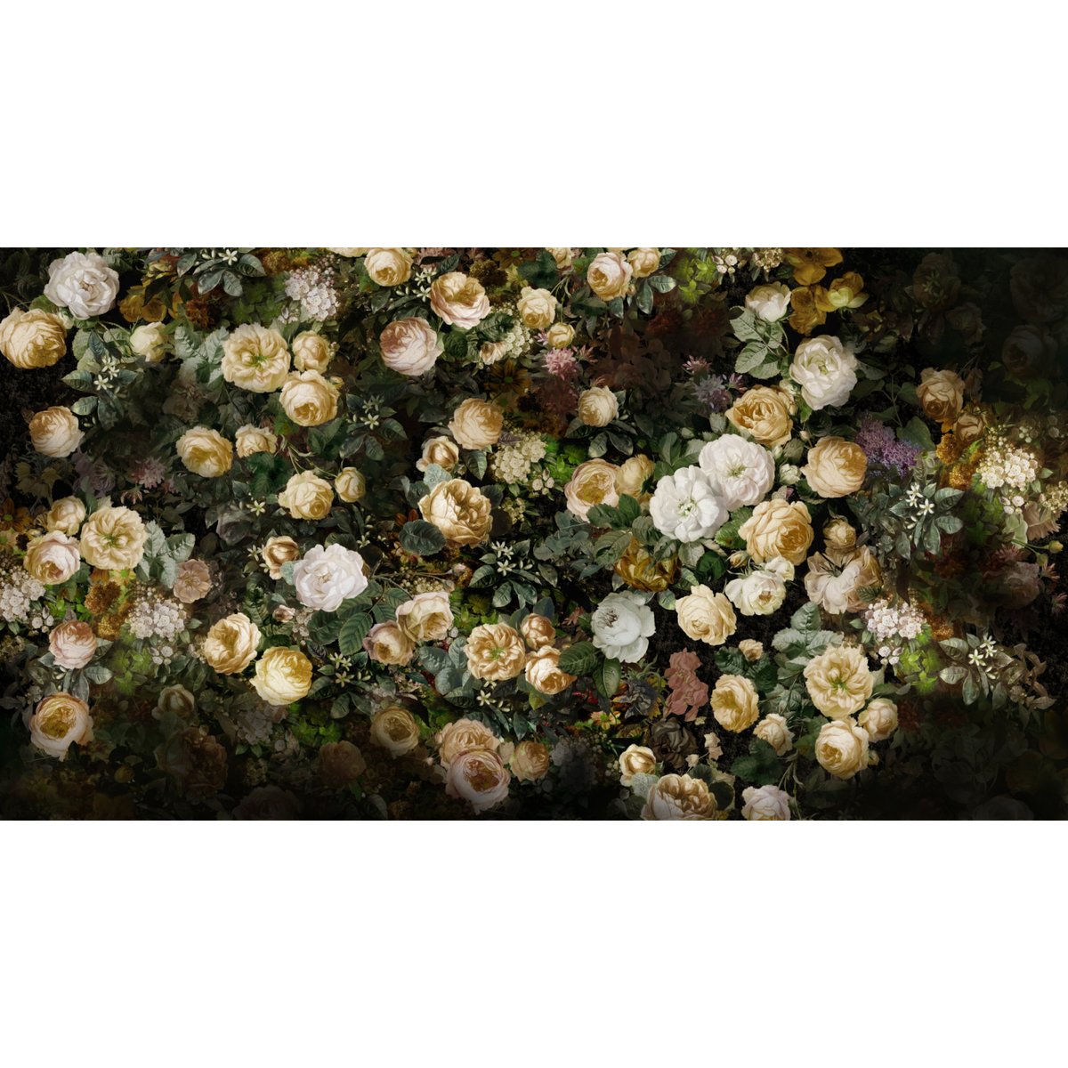 Honpo YL | Rose Nocturne Honpo YL | Rose Nocturne