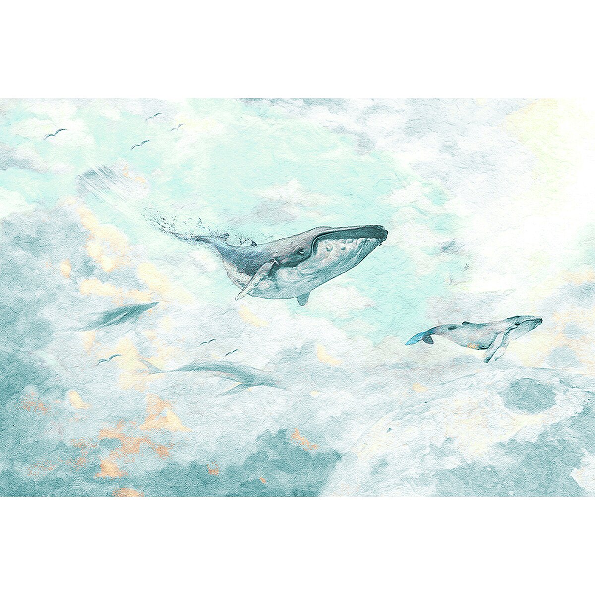 Honpo YL | Cloud Whales Honpo YL | Cloud Whales