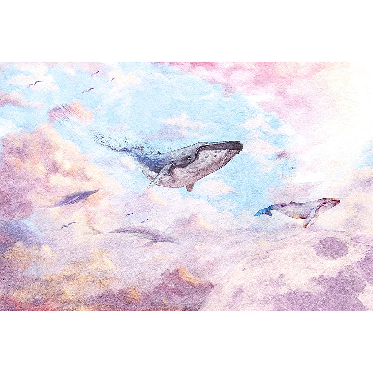 Honpo YL | Cloud Whales Honpo YL | Cloud Whales