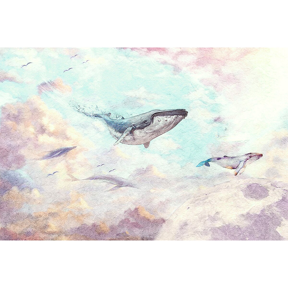 Honpo YL | Cloud Whales Honpo YL | Cloud Whales
