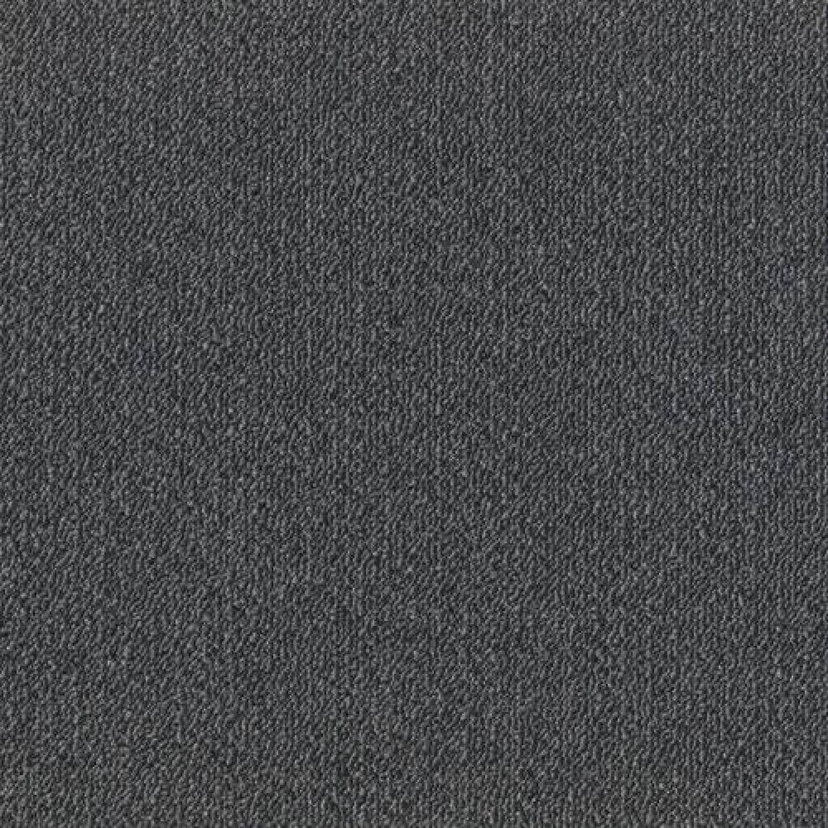 Toli / Pets Carpet / AK3502 Toli / Pets Carpet / AK3502