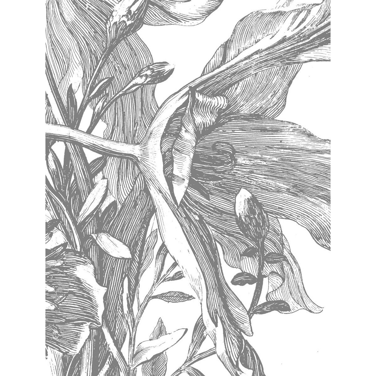 KEK | Engraved Flowers | Design VII KEK | Engraved Flowers | Design VII