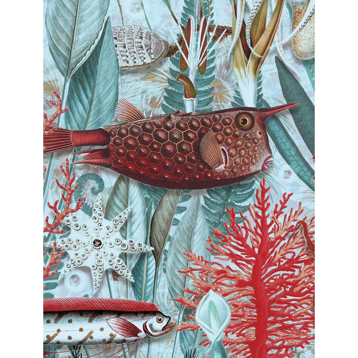 KEK | Underwater Jungle | Design II KEK | Underwater Jungle | Design II