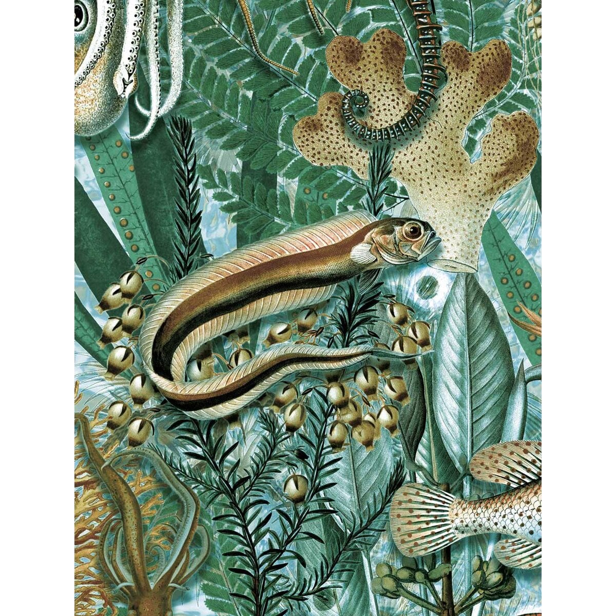 KEK | Underwater Jungle | Design II KEK | Underwater Jungle | Design II