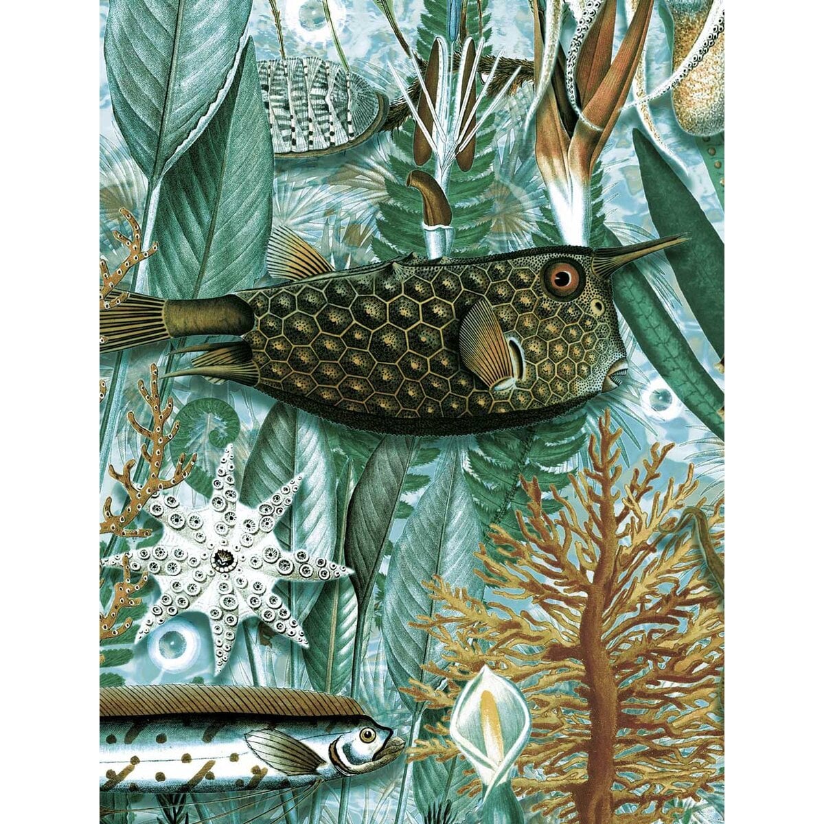 KEK | Underwater Jungle | Design II KEK | Underwater Jungle | Design II