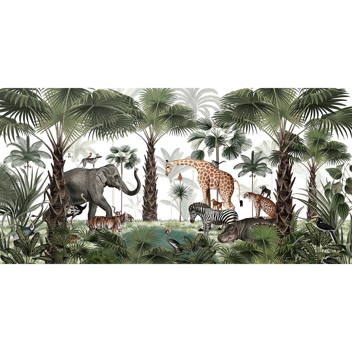 Kikki Belle | Animal Kingdom Kikki Belle | Animal Kingdom