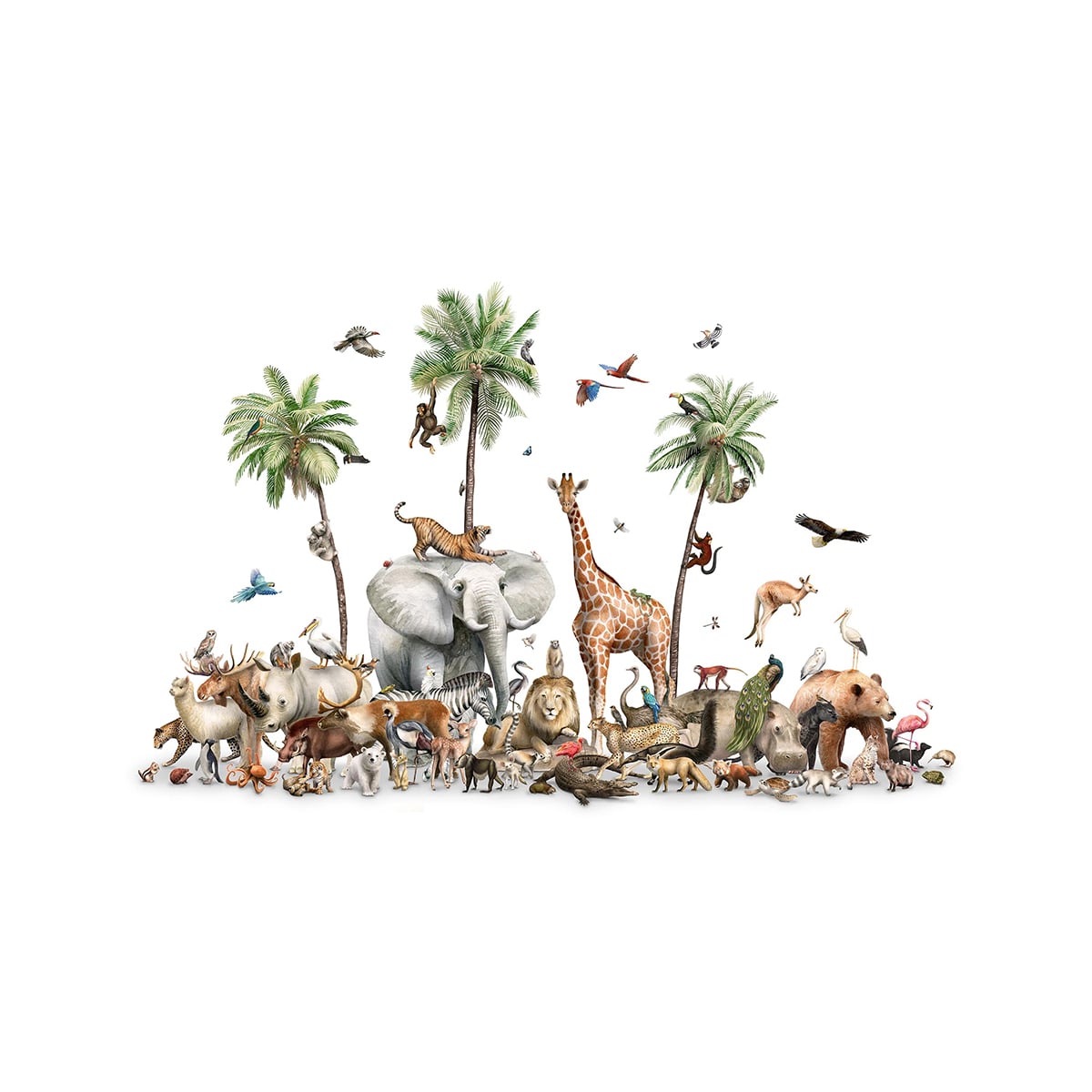 Kikki Belle | Beautiful Biodiversity Kikki Belle | Beautiful Biodiversity