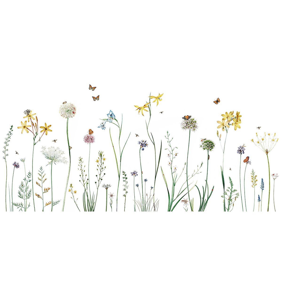 Kikki Belle | Butterfly Garden Kikki Belle | Butterfly Garden