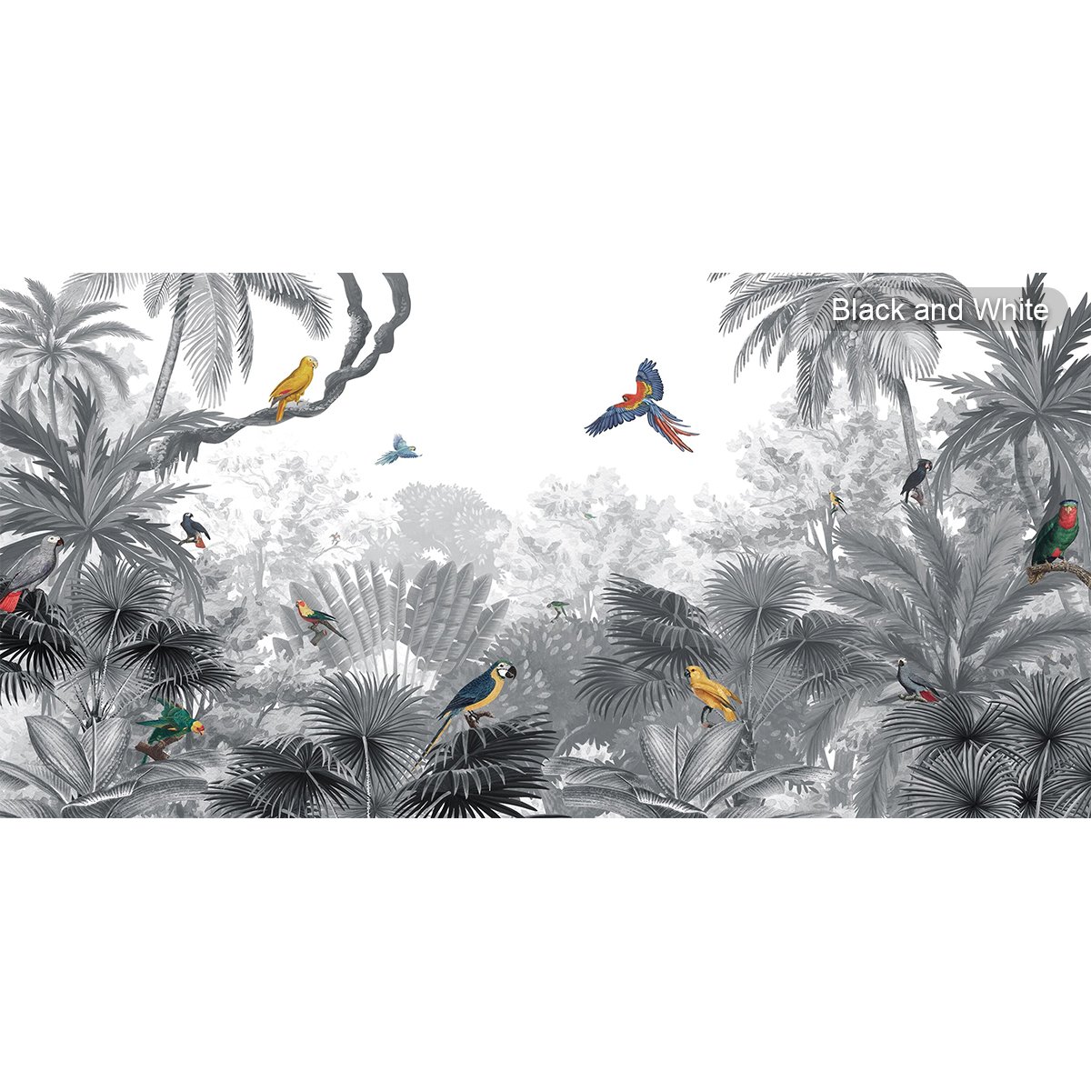 Kikki Belle | Canopy Jungle Kikki Belle | Canopy Jungle