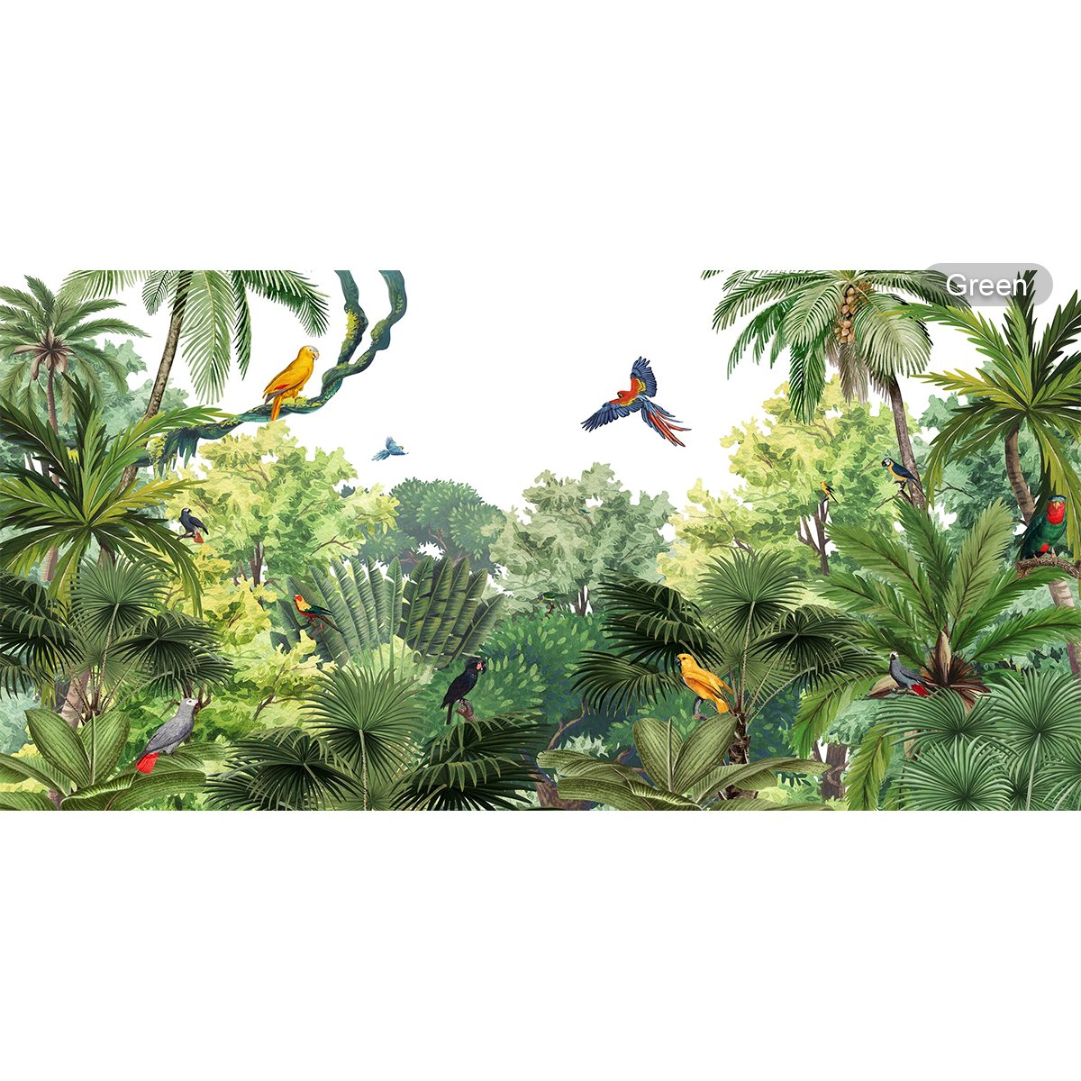 Kikki Belle | Canopy Jungle Kikki Belle | Canopy Jungle