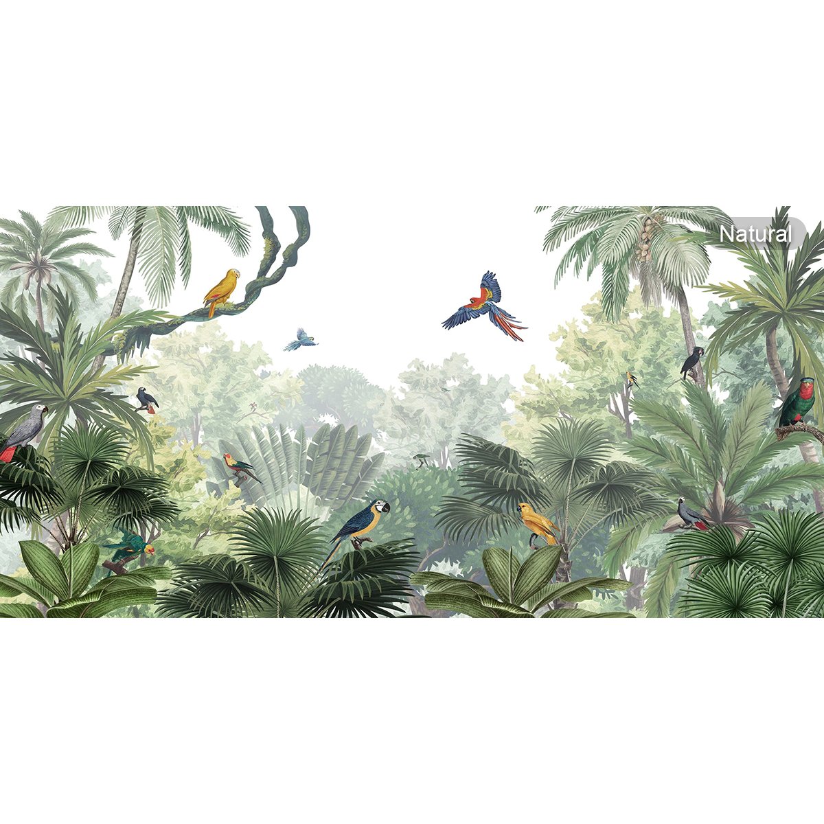 Kikki Belle | Canopy Jungle Kikki Belle | Canopy Jungle