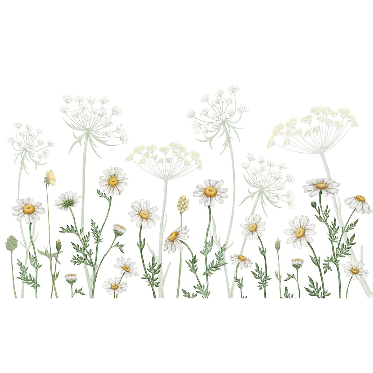 Kikki Belle | Dazzling Daisies Kikki Belle | Dazzling Daisies